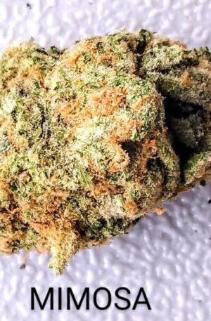 Mimosa Medical Weed Strain