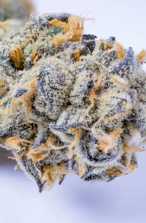 Mystery Cookies Cannabis Strain