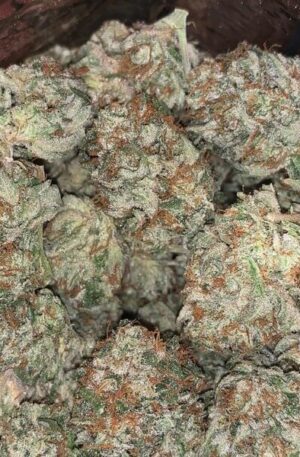 Orange Cookies Cannabis Strain