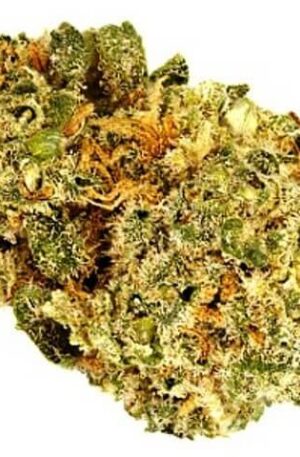 Peach Cobbler Weed Strain