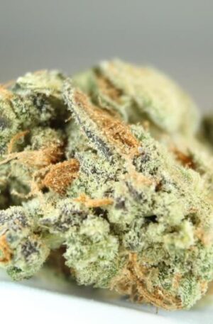 Peanut Butter Breath Marijuana