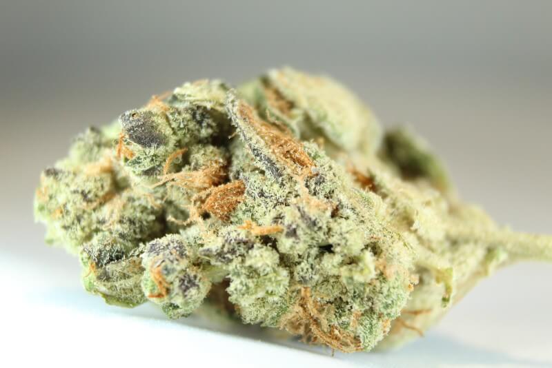 Peanut Butter Breath Marijuana
