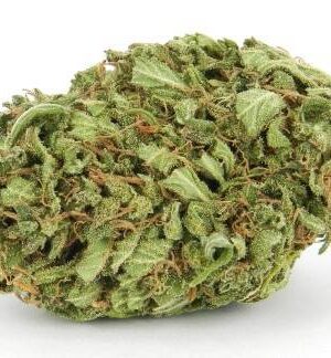 Pina Colada Weed Strain