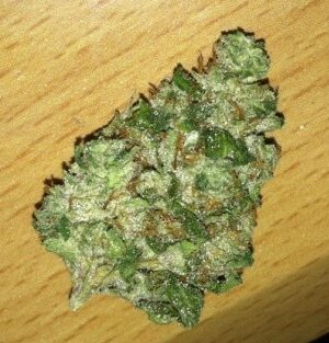 Pine OG Marijuana Strain