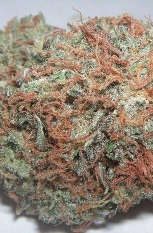 Pineapple OG Cannabis Strain