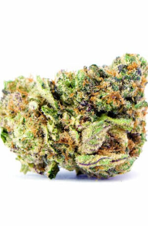 Pink Picasso Weed Strain