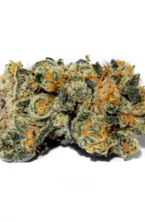Platinum Huckleberry Cookies Strain