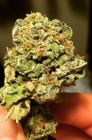Platinum Kush Strain