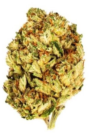 Rapper Kush Weed Strain