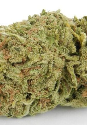 Royal Dream Weed Strain