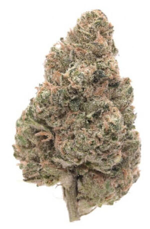 SUENO Marijuana Strain