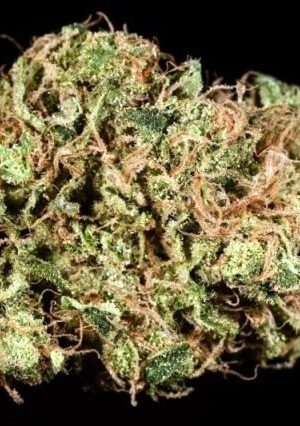 Silver n Gold Marijuana