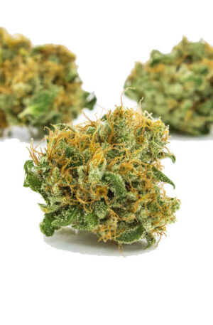 Snowcone Medical Marijuana Strain