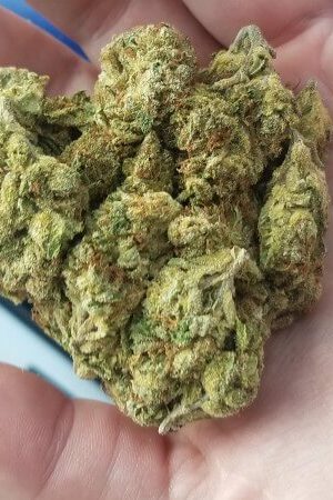 Strawberry Banana Weed Strain