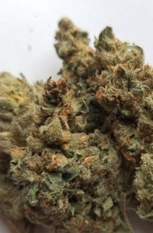 Sundae Driver Marijuana