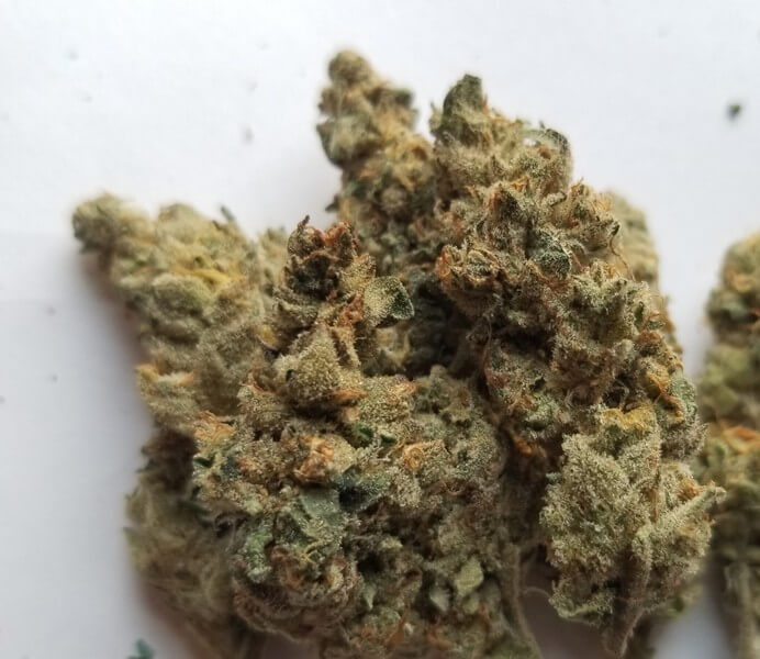 Sundae Driver Marijuana