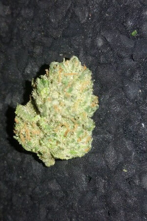 Supernatural Weed Strain