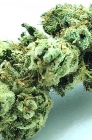 Tahoe Hydro OG Strain