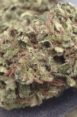 Thai Stick Weed Strain