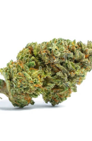 Triangle Mints Weed Strain