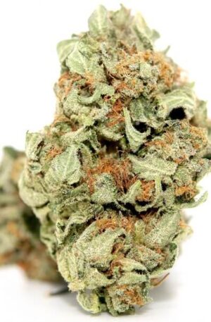 Tropicanna Marijuana Strain