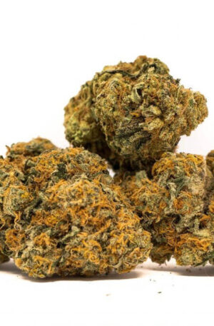 Tutankhamon Weed Strain