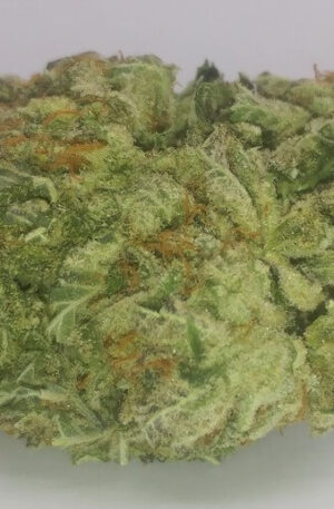 Watermelon Kush Hybrid Strain