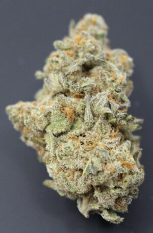 White Russian Weed Strain