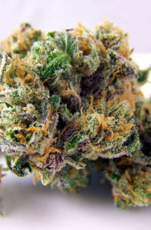 Woody OG Cannabis Strain