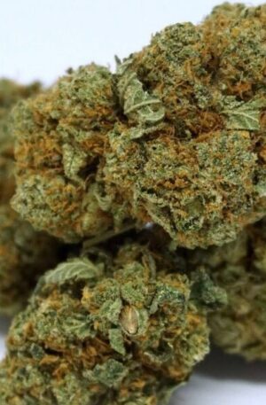Zookies Medical Weed Strain