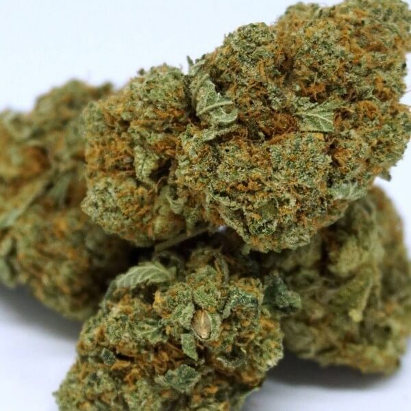 Zookies Medical Weed Strain