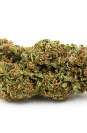 Blue Magoo Meteorite Strain