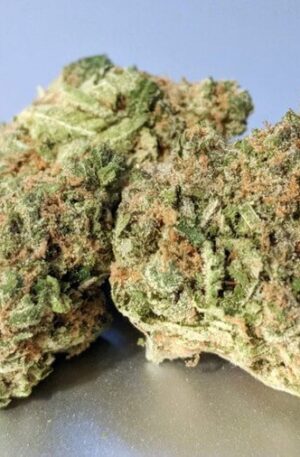 Brownie Scout Marijuana Strain UK