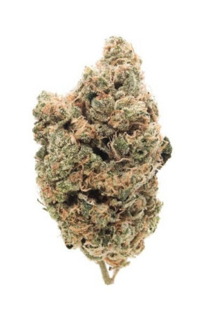 Cobra Lips Weed Strain UK