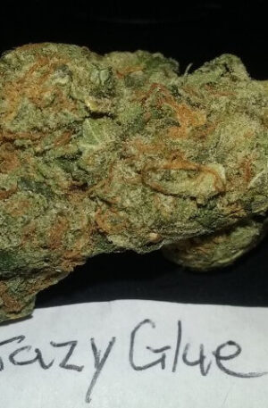 Crazy Glue Weed Strain UK