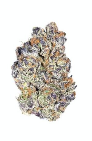 Daniel Larusso Weed Strain UK