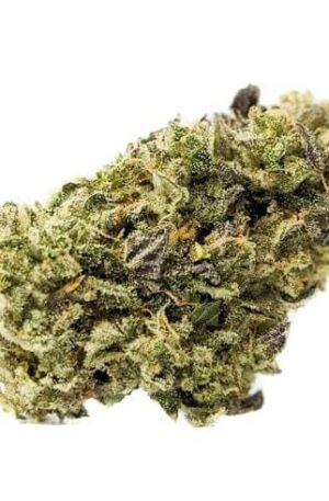 First Class Funk Strain UK