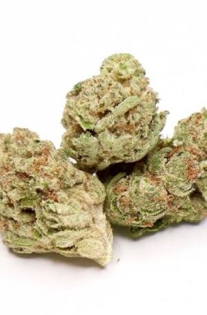 Florida Cake Weed Strain UK