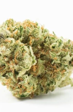 Fresh Squeezed OG Strain UK