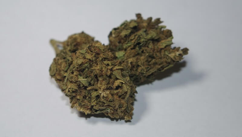 Harley-Tsu CBD Weed Strain UK