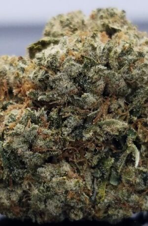 Holy Grail OG Strain