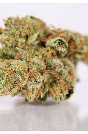 Memory Loss Marijuana Strain UK