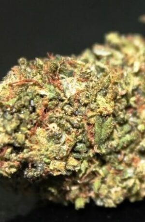 Moon Cookies Marijuana Strain UK