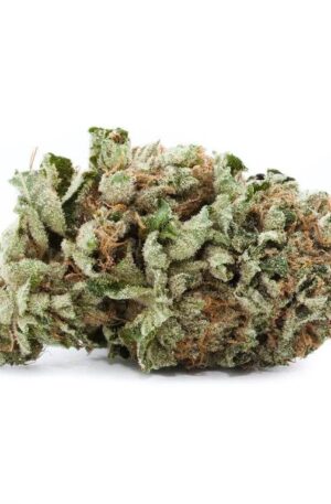 Purple Rockstar Kush Strain UK