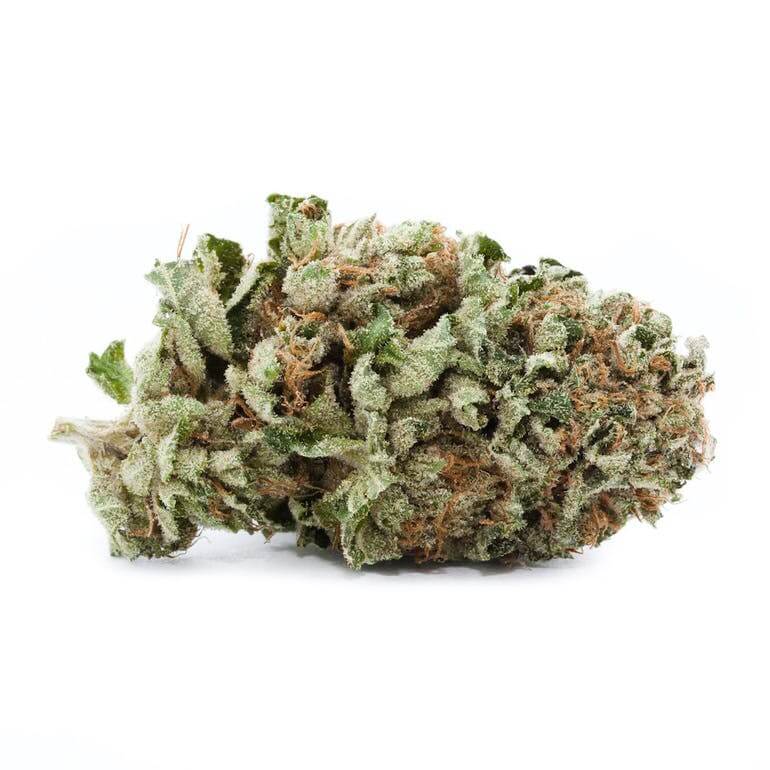 Purple Rockstar Kush Strain UK