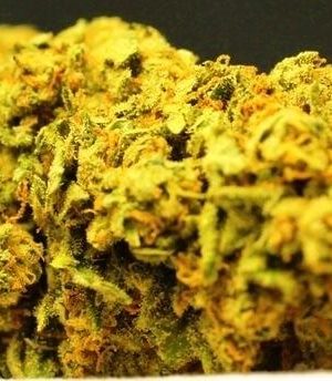 Rebel God Smoke Strain UK