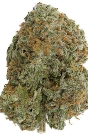 Skunkberry Marijuana Strain UK