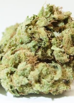 Sour Glue Cannabis Strain UK