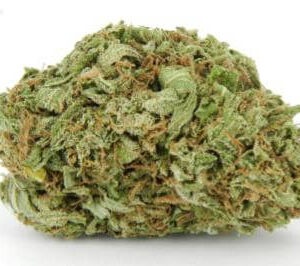 The Mountain Weed Strain