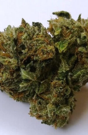 Trinidad OG Cannabis Strain UK